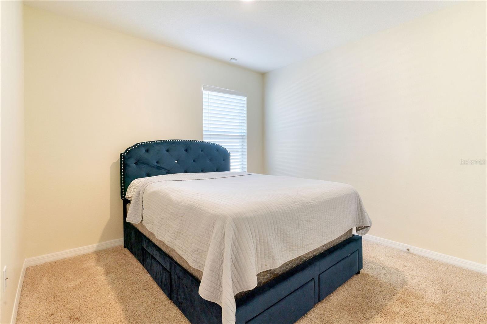 9537 BLACK WALNUT DR, CLERMONT, FL — photo 56