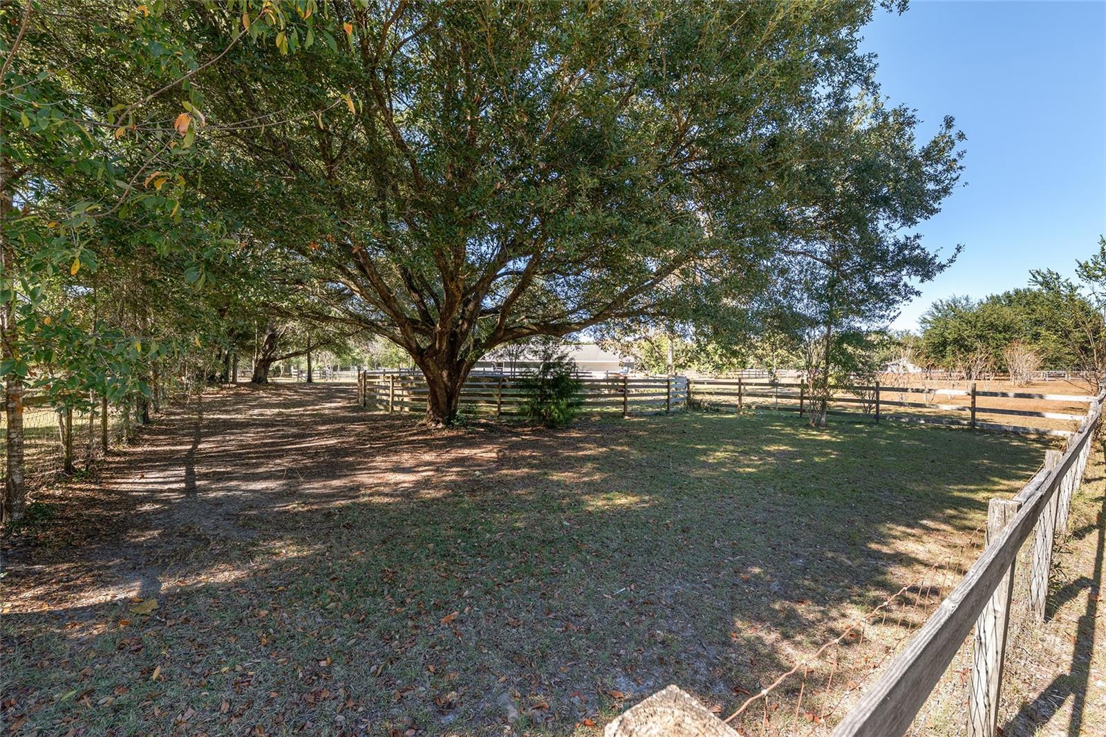 9128 NW 238TH ST, ALACHUA, FL — photo 31