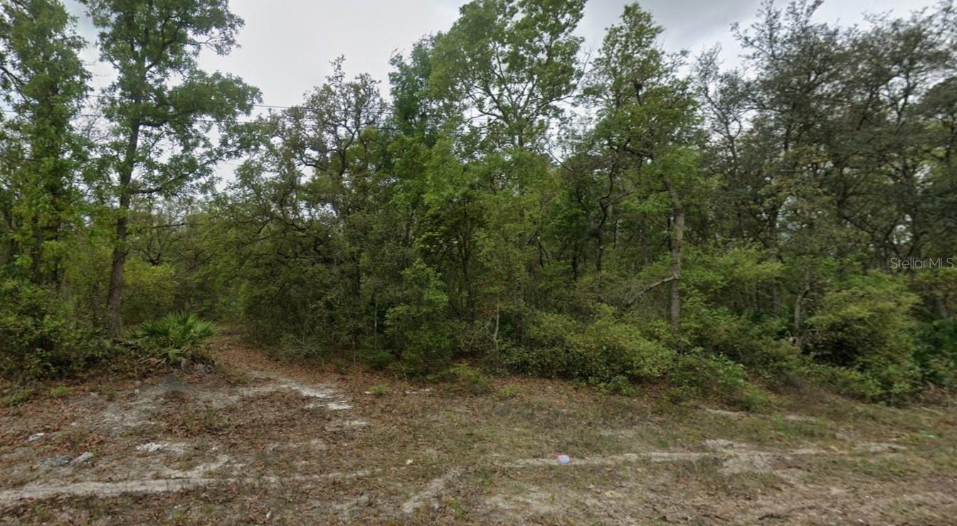 HIGHLINE TRL, SATSUMA, FL
