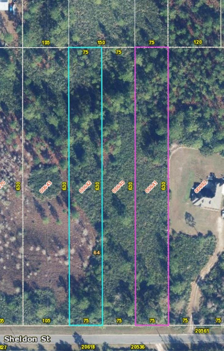 Lot 640 SHELDON ST, ORLANDO, FL — photo 4