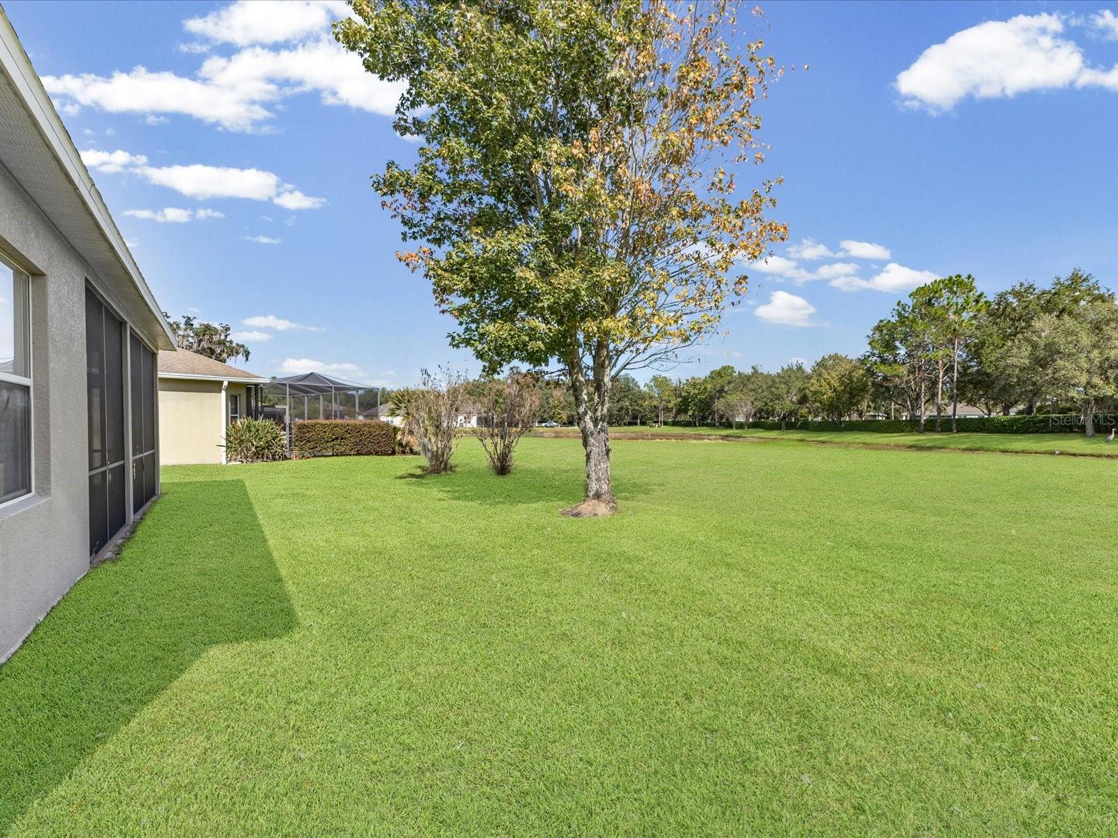 5347 CAPPLEMAN LOOP, BROOKSVILLE, FL — photo 25