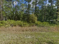608 HICKORY NUT TRL — photo 2