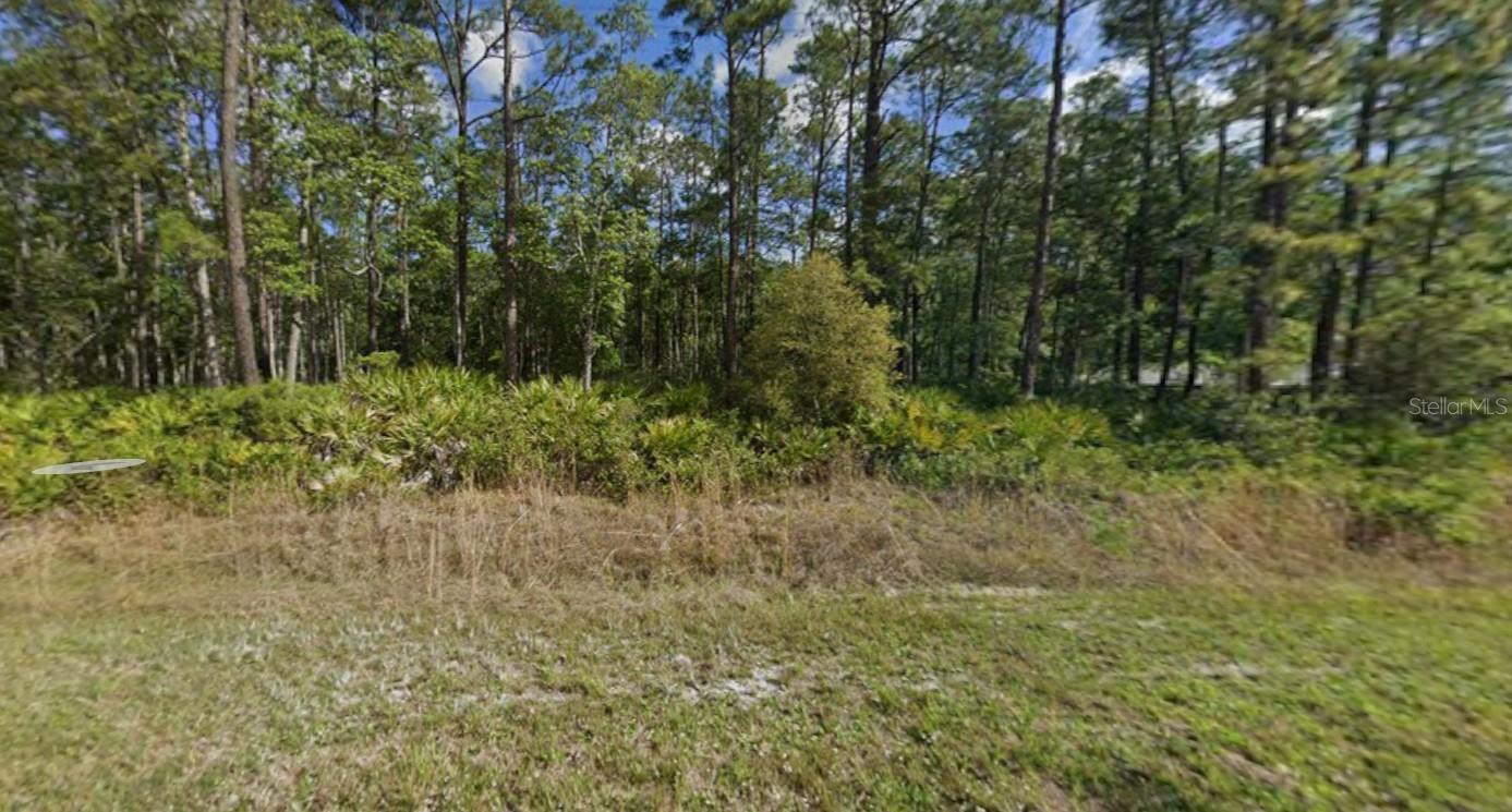 608 HICKORY NUT TRL, SATSUMA, FL