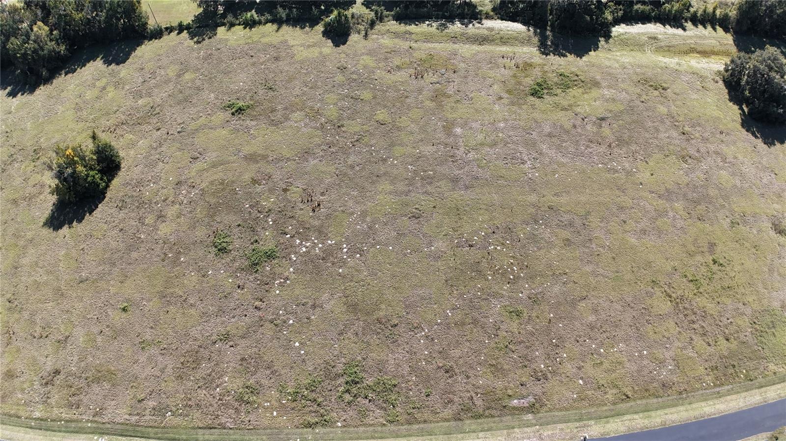 NW 54TH LOOP #LOT 7, OCALA, FL — photo 3
