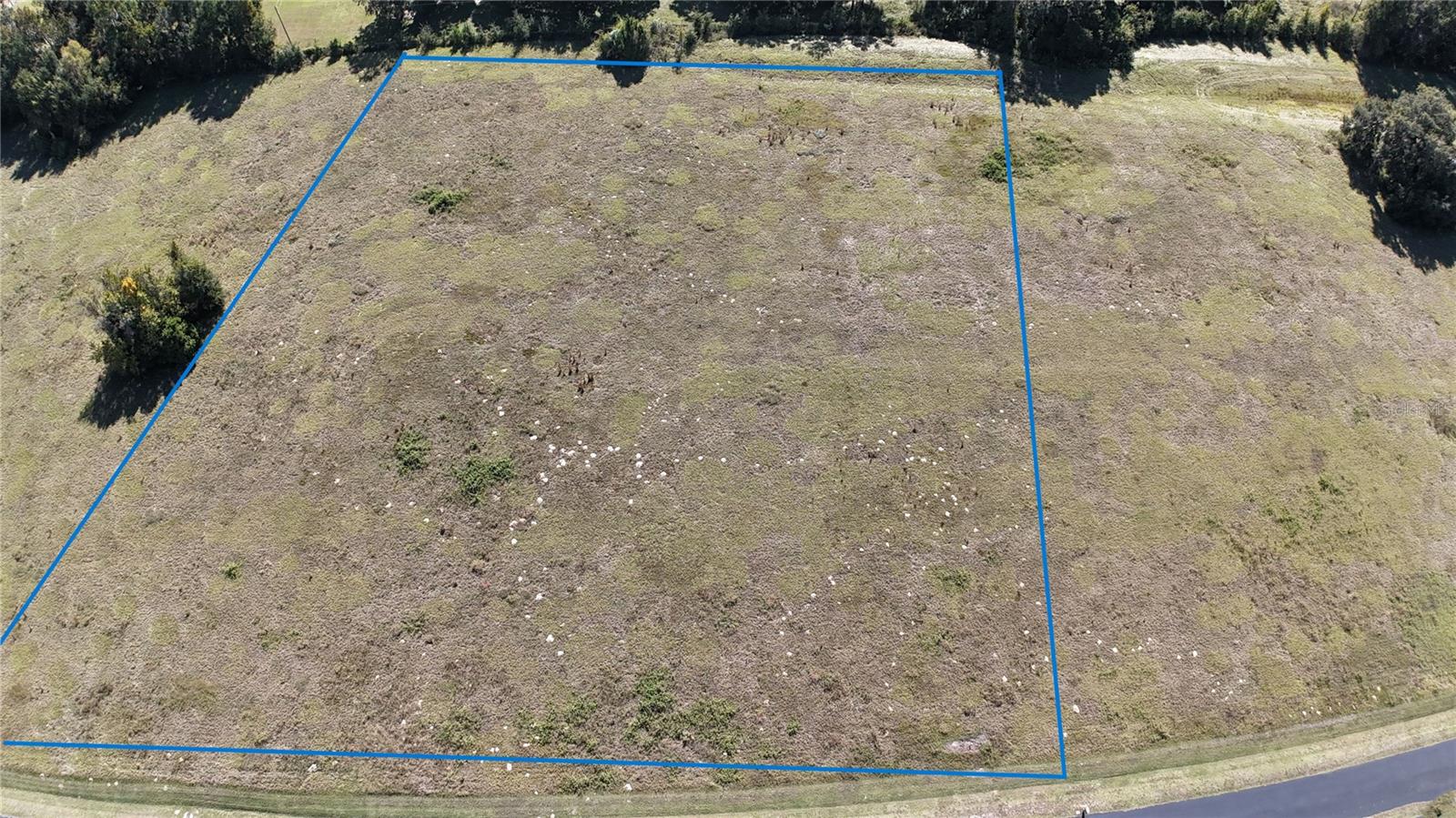 NW 54TH LOOP #LOT 7, OCALA, FL — photo 5