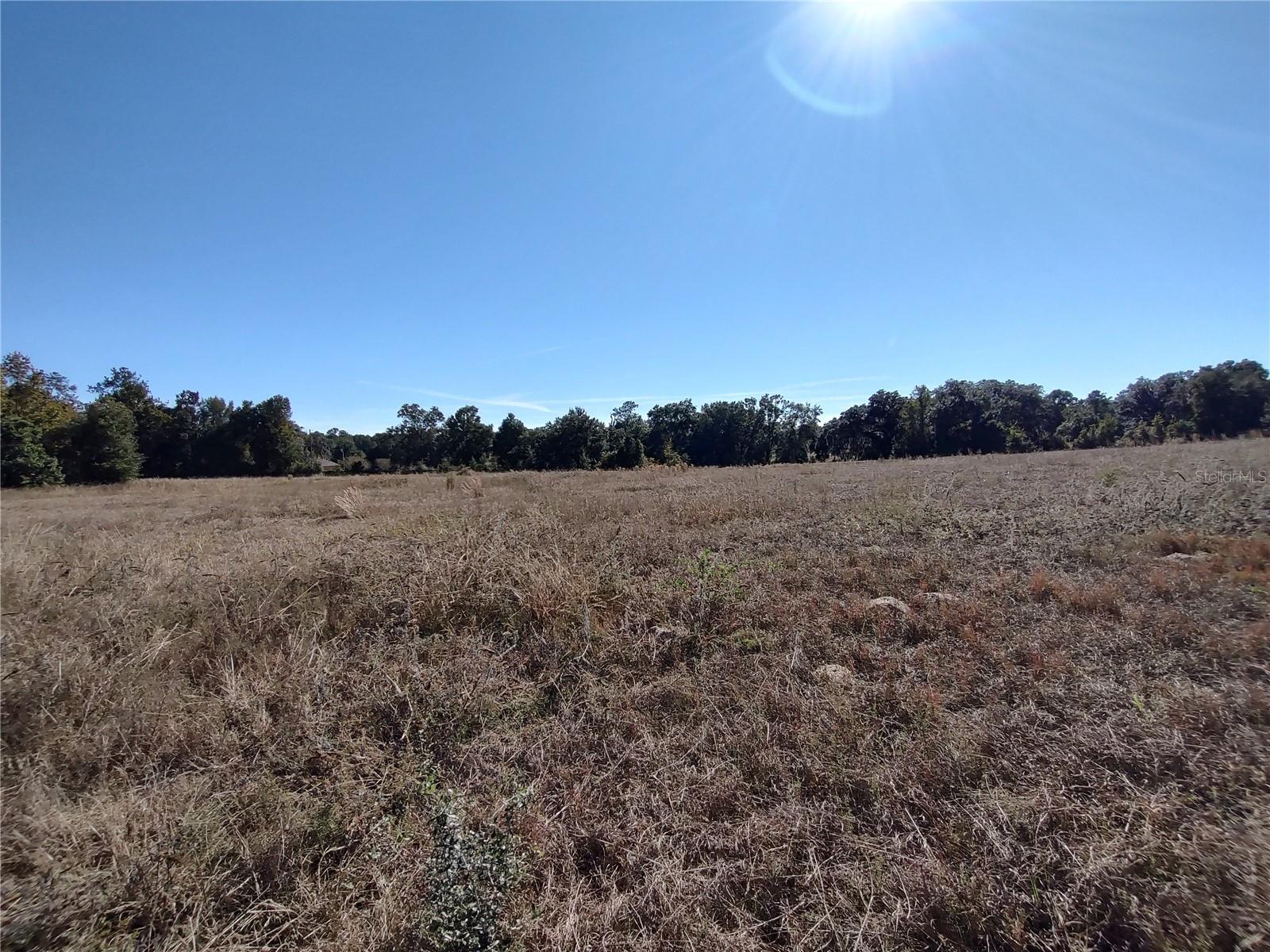 NW 54TH LOOP #LOT 7, OCALA, FL — photo 10
