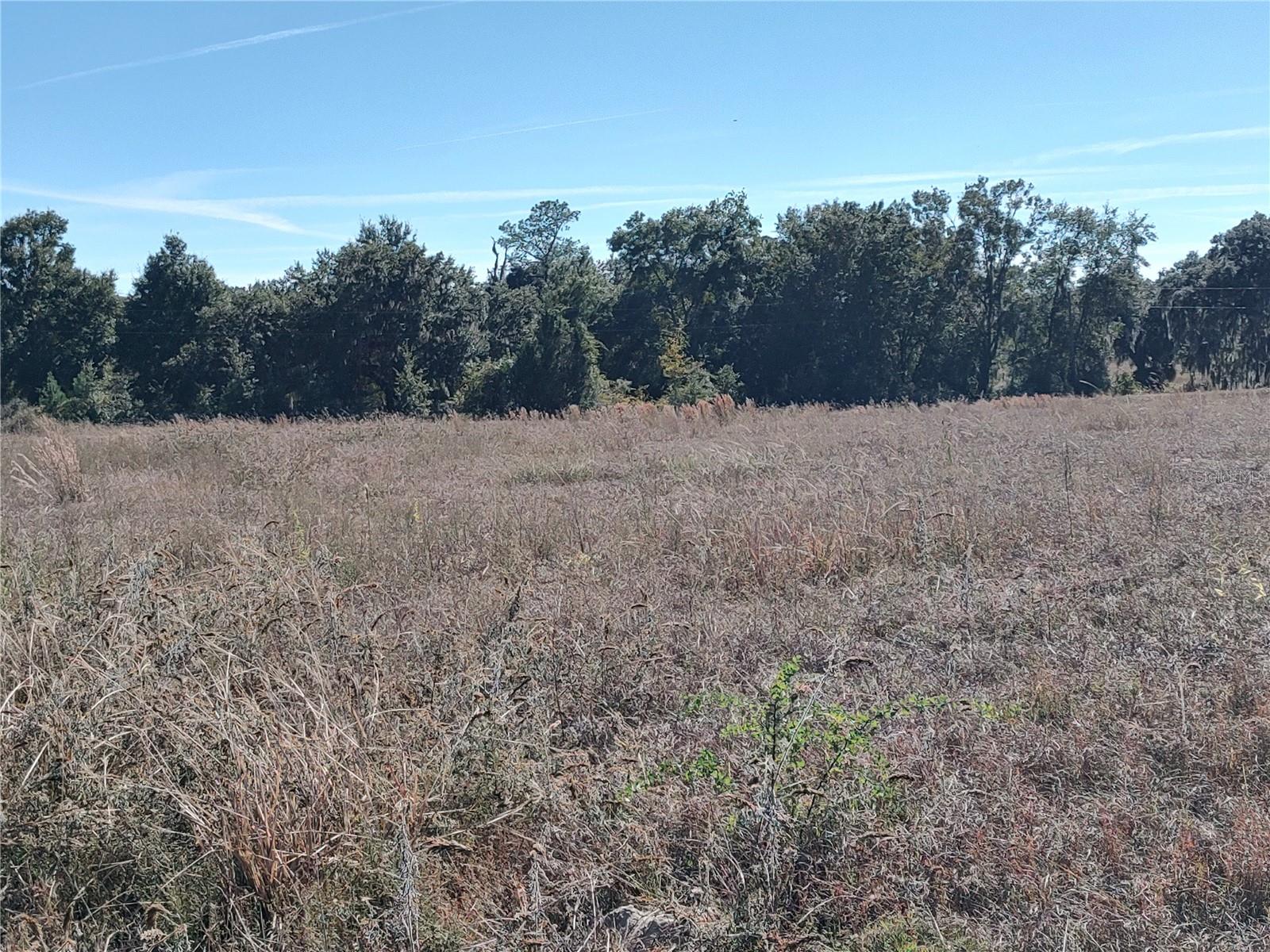NW 54TH LOOP #LOT 7, OCALA, FL — photo 11