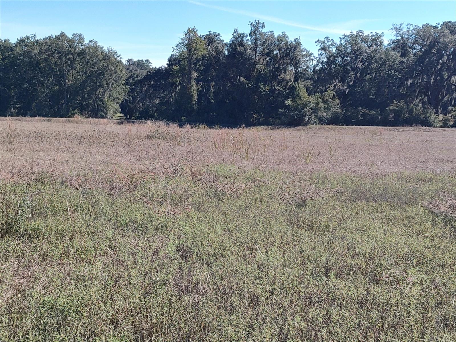 NW 54TH LOOP #LOT 7, OCALA, FL — photo 12