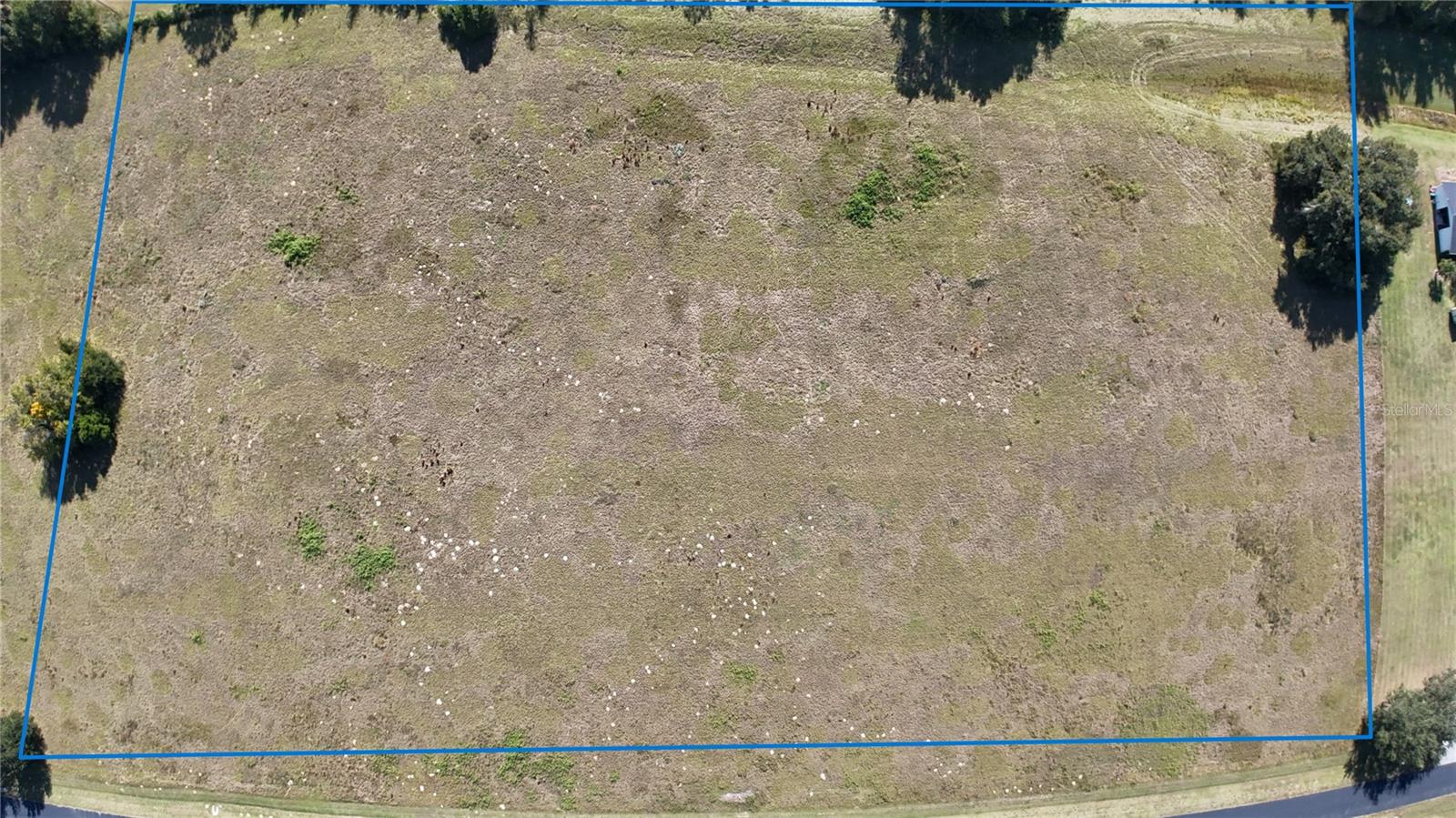 NW 54TH LOOP #LOT 6, OCALA, FL — photo 3