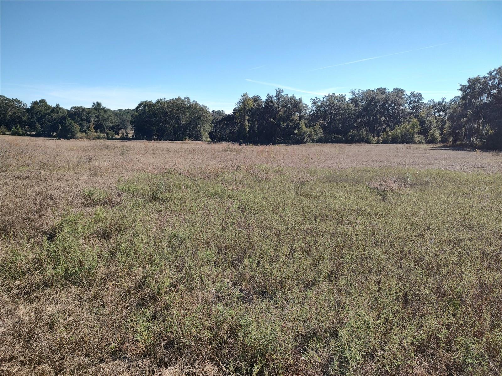 NW 54TH LOOP #LOT 6, OCALA, FL — photo 4