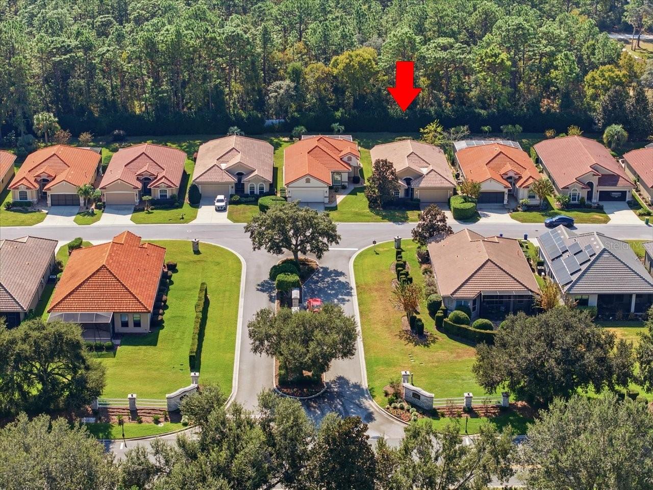 1650 W LAUREL GLEN PATH, HERNANDO, FL — photo 41