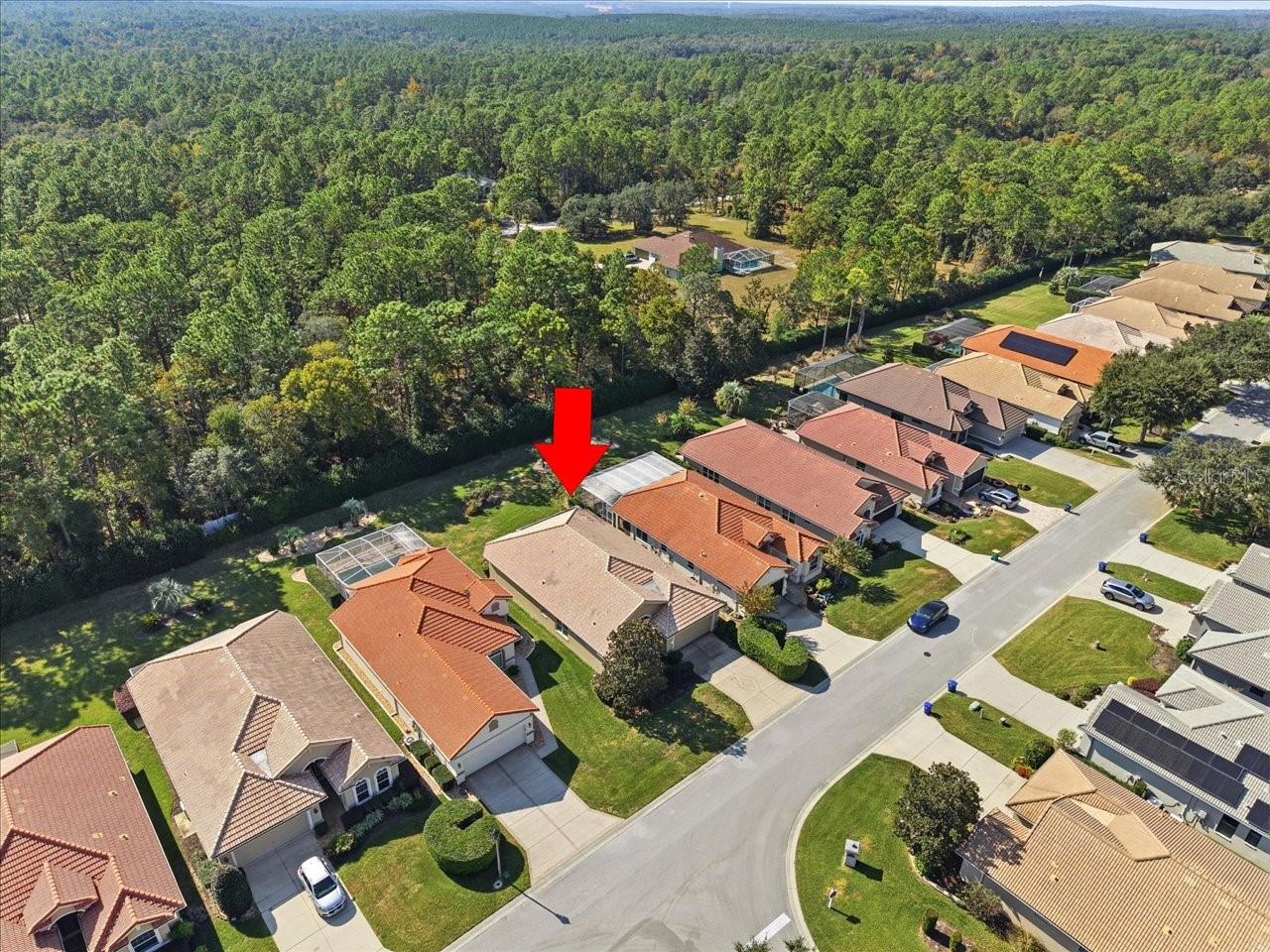 1650 W LAUREL GLEN PATH, HERNANDO, FL — photo 43