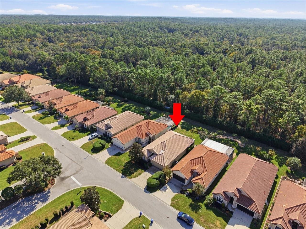 1650 W LAUREL GLEN PATH, HERNANDO, FL — photo 44