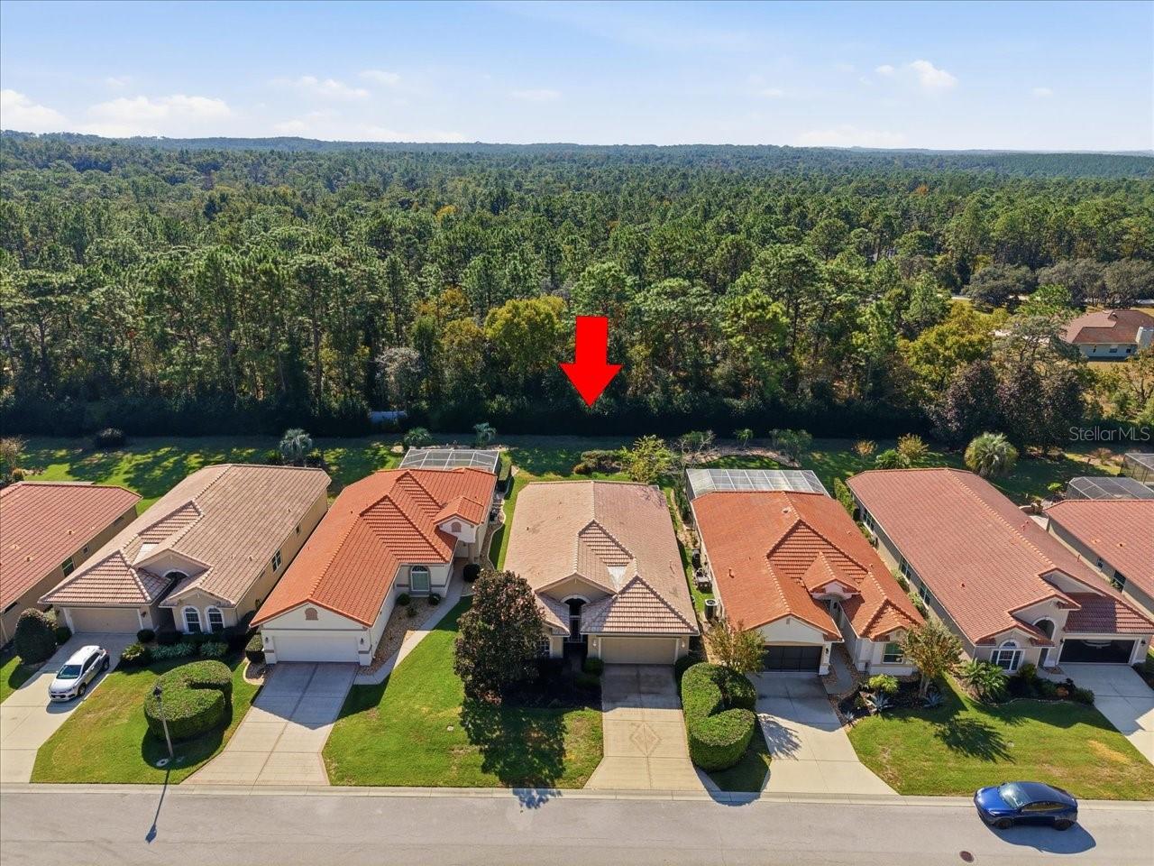 1650 W LAUREL GLEN PATH, HERNANDO, FL — photo 45