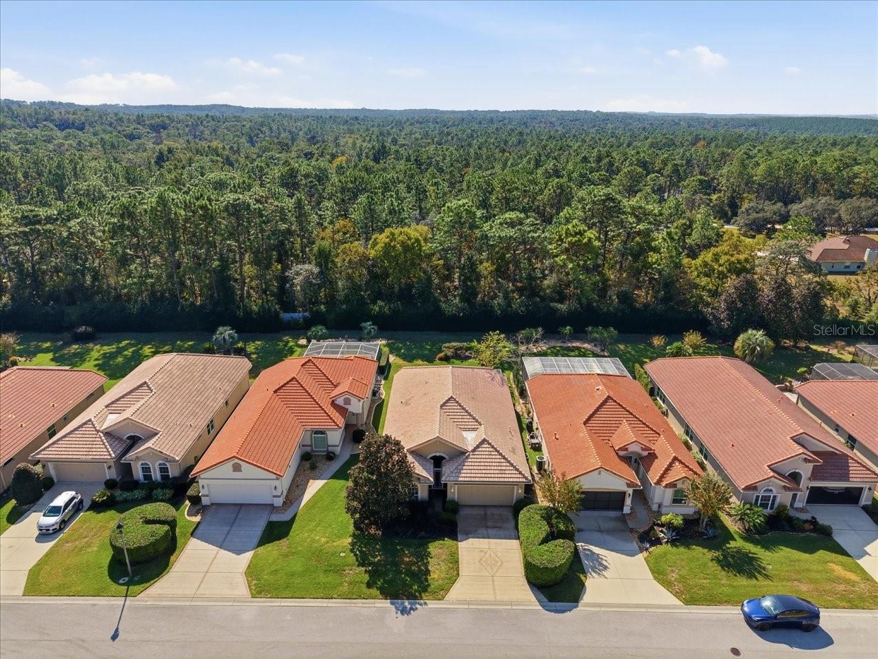 1650 W LAUREL GLEN PATH, HERNANDO, FL — photo 46