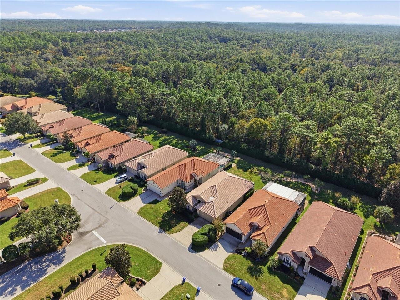 1650 W LAUREL GLEN PATH, HERNANDO, FL — photo 47