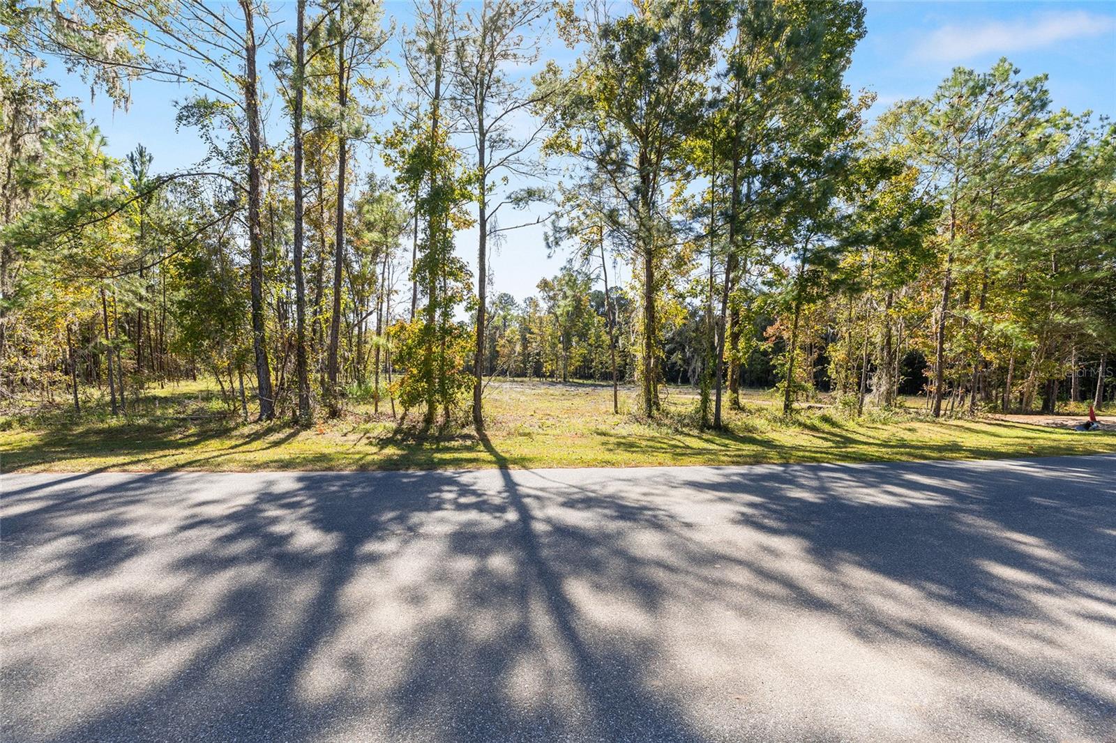 TBD NW 145 ST, WILLISTON, FL — photo 3
