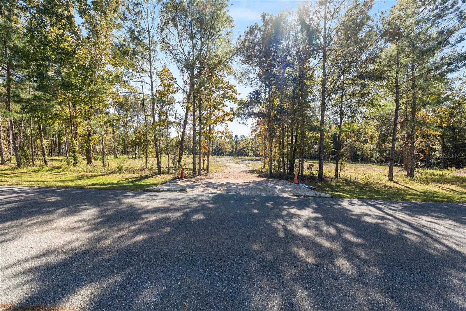 TBD NW 145 ST, WILLISTON, FL — photo 4