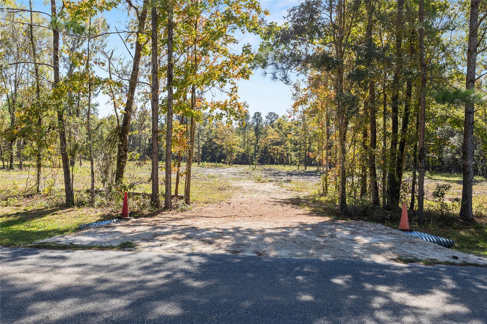 TBD NW 145 ST, WILLISTON, FL — photo 5