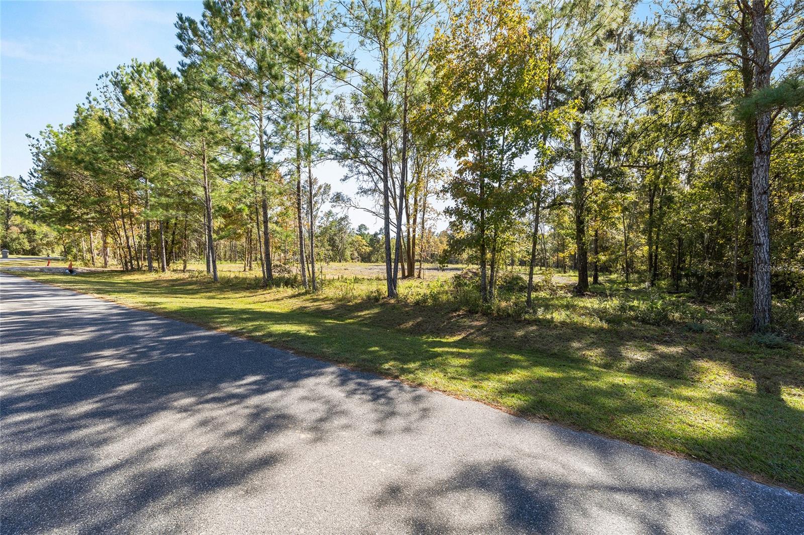 TBD NW 145 ST, WILLISTON, FL — photo 6