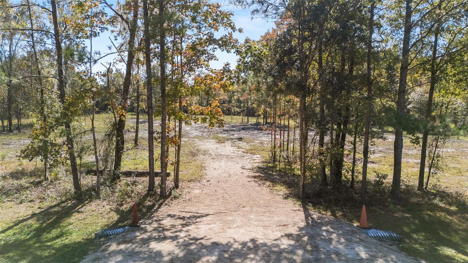 TBD NW 145 ST, WILLISTON, FL — photo 7