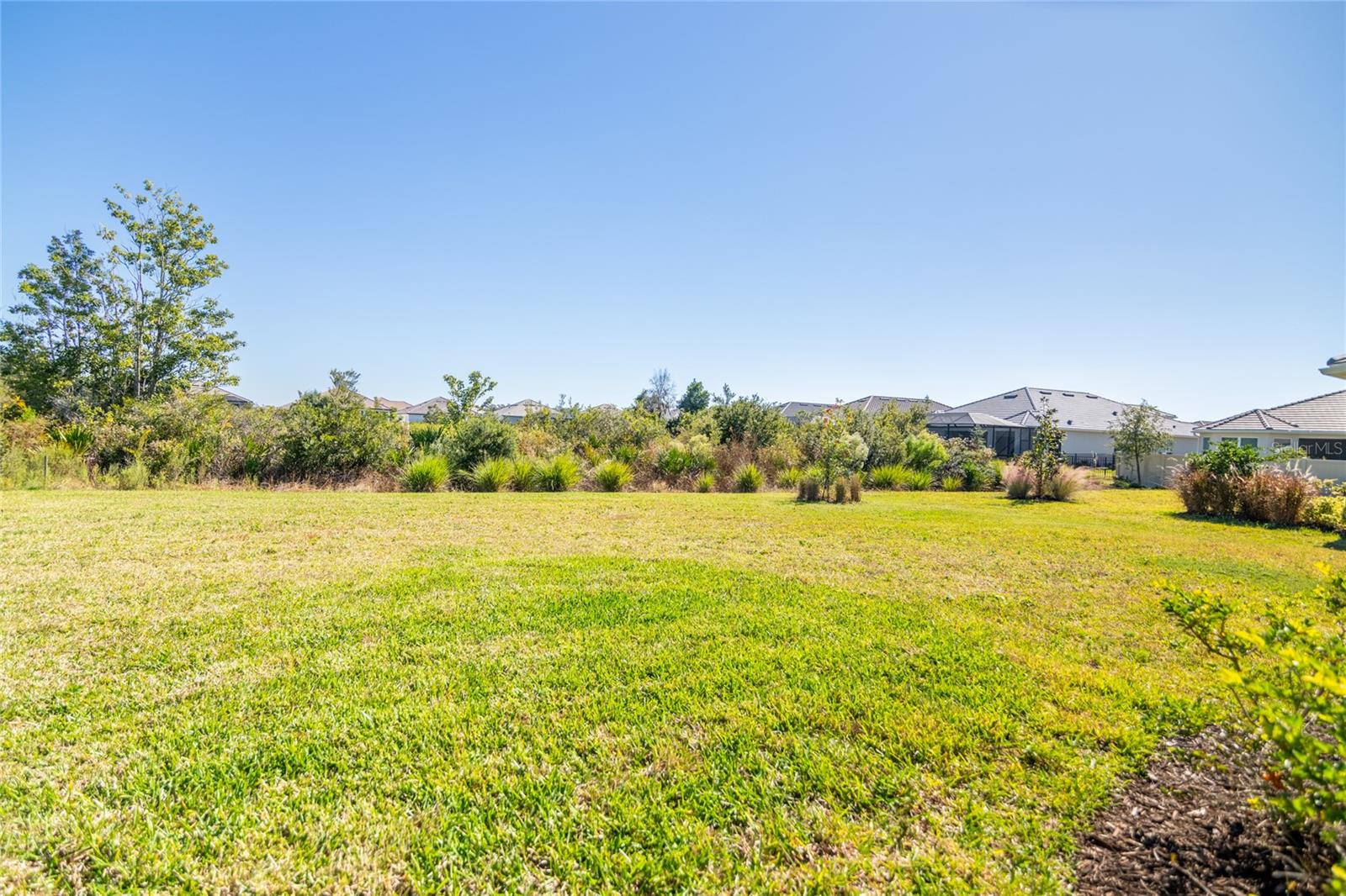 4798 ROSATTI RD, WESLEY CHAPEL, FL — photo 40