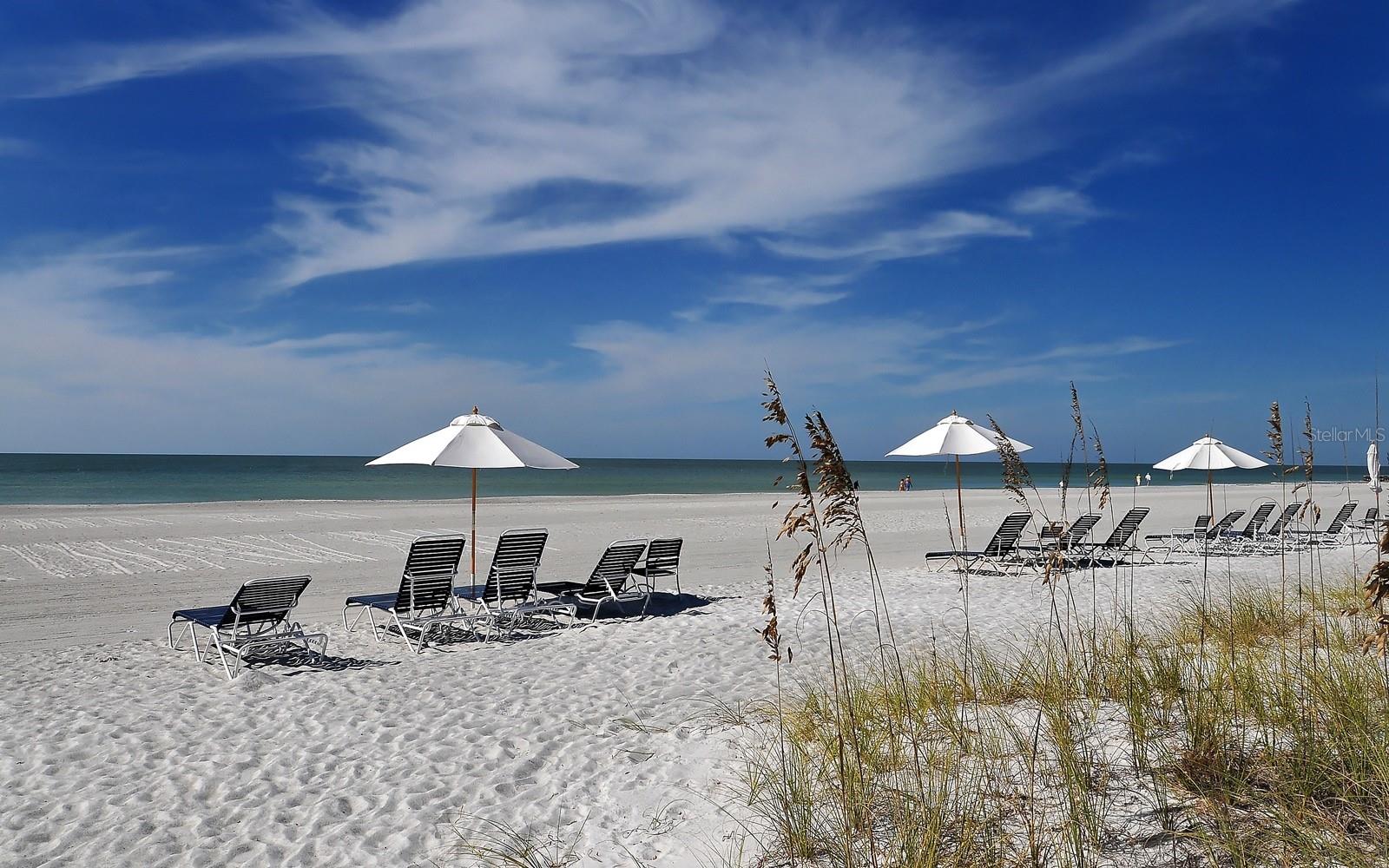 1445 GULF OF MEXICO DR #305, LONGBOAT KEY, FL — photo 42