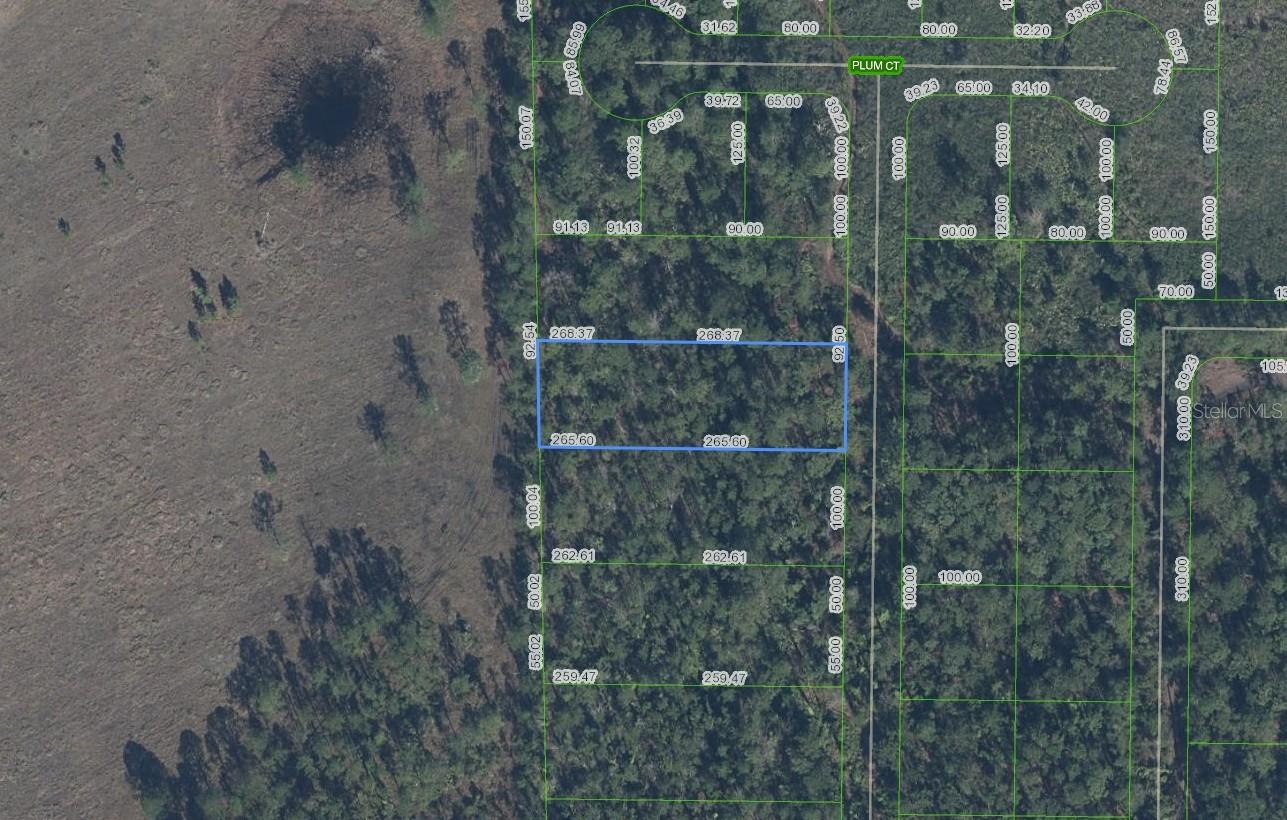 4705 RHUBARB ST, SEBRING, FL