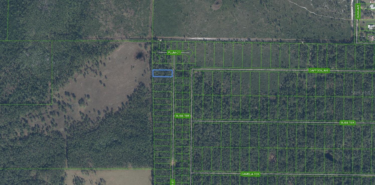 4705 RHUBARB ST, SEBRING, FL — photo 3