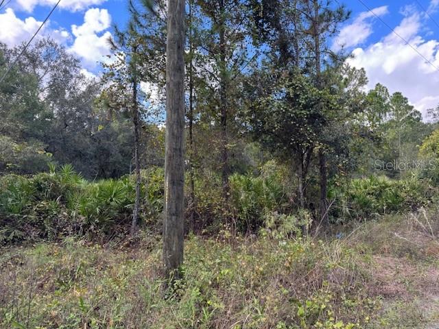 12TH AVE, DELAND, FL — photo 2