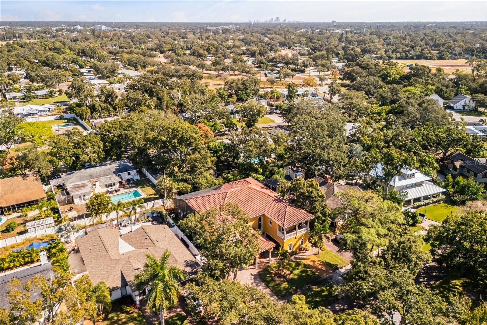 911 JUNGLE AVE N, ST PETERSBURG, FL — photo 79