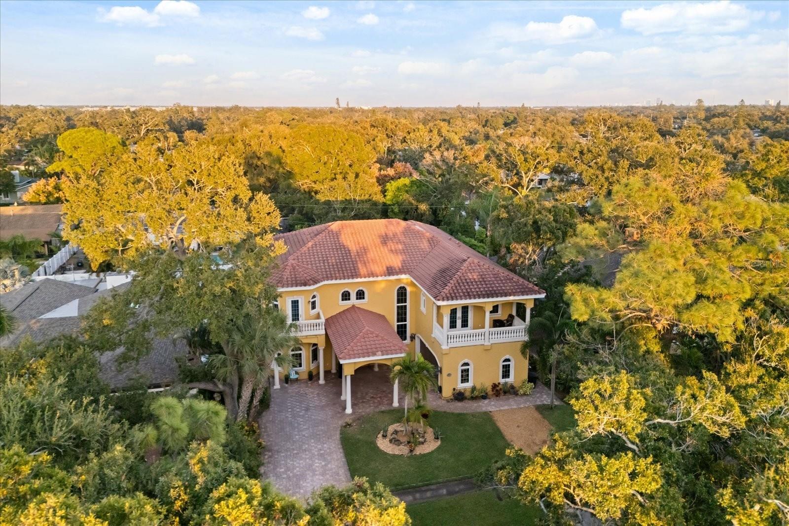 911 JUNGLE AVE N, ST PETERSBURG, FL — photo 78