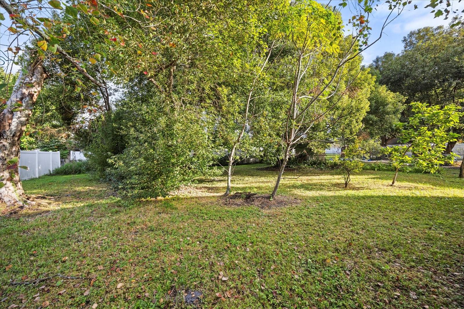 115 W FILLMORE AVE, ORLANDO, FL — photo 22