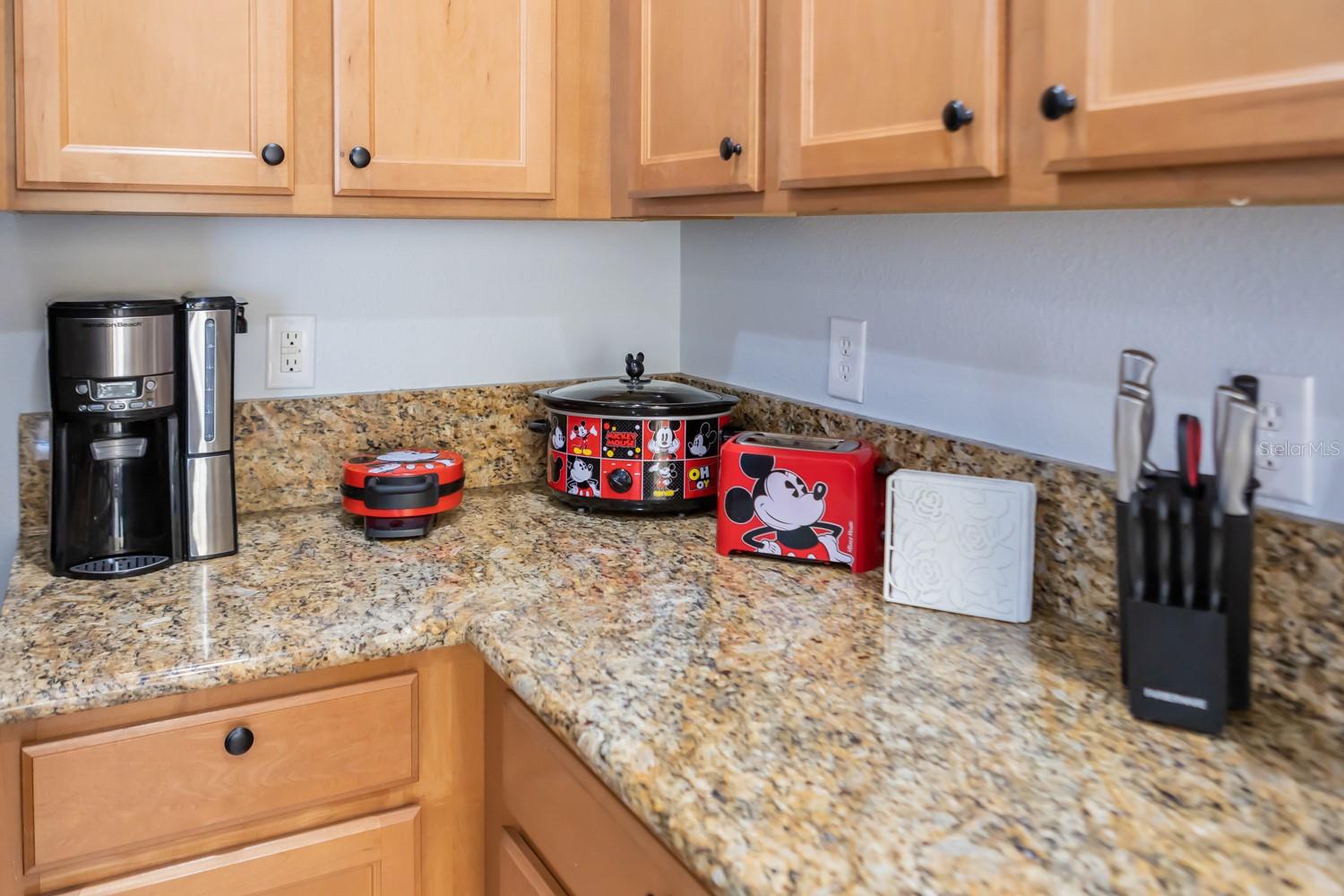 891 ASSEMBLY CT, REUNION, FL — photo 50
