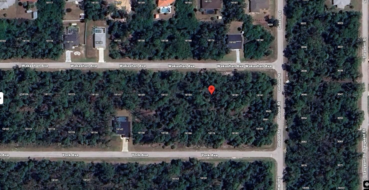 18173 WAKASHAN AVE, PORT CHARLOTTE, FL