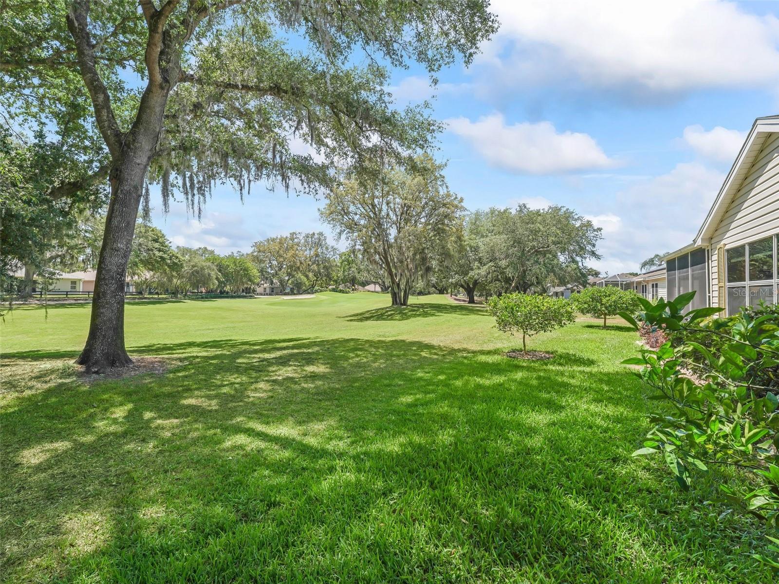 511 CHULA VISTA AVE, THE VILLAGES, FL — photo 79