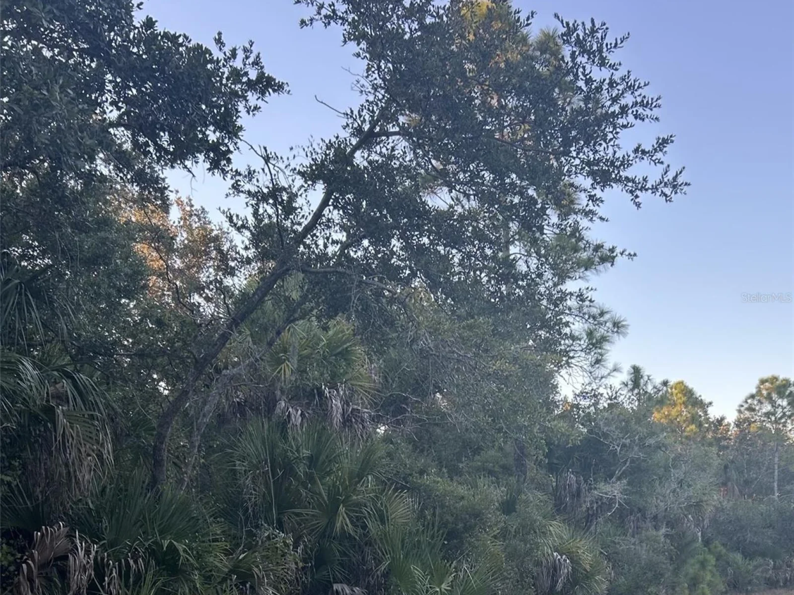 23391 BUCKNER AVE, PORT CHARLOTTE, FL — photo 2