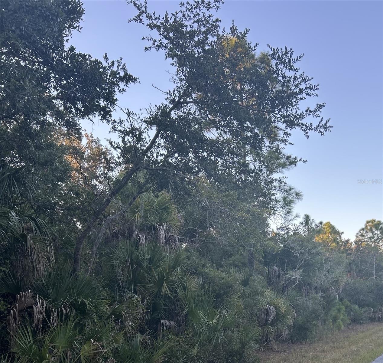 23391 BUCKNER AVE, PORT CHARLOTTE, FL