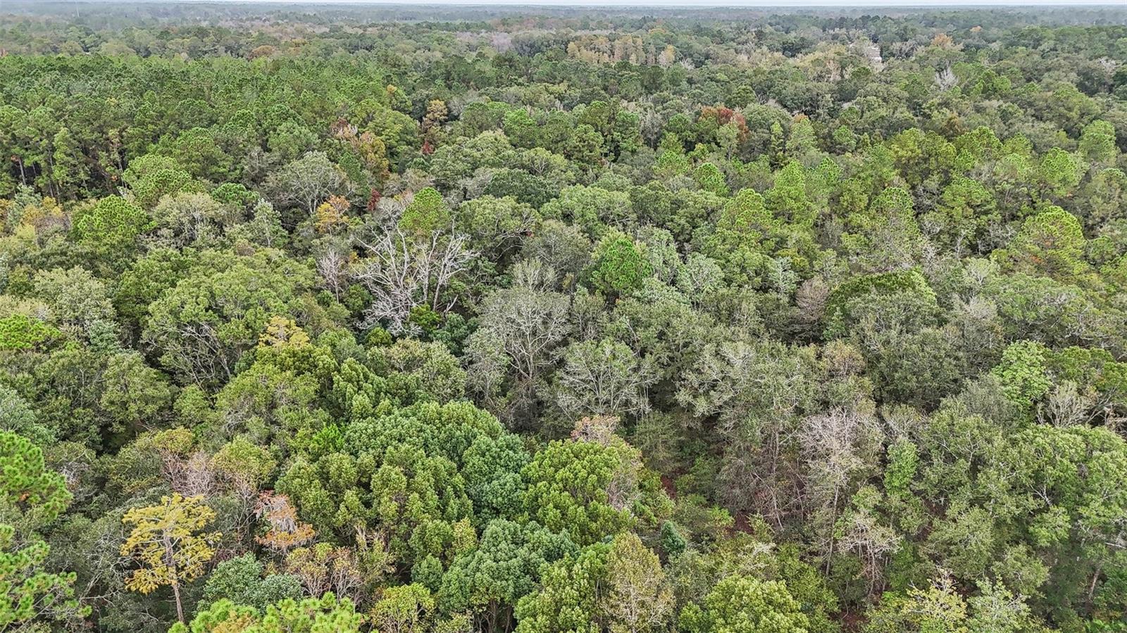 W EDWARDS RD, STARKE, FL — photo 8