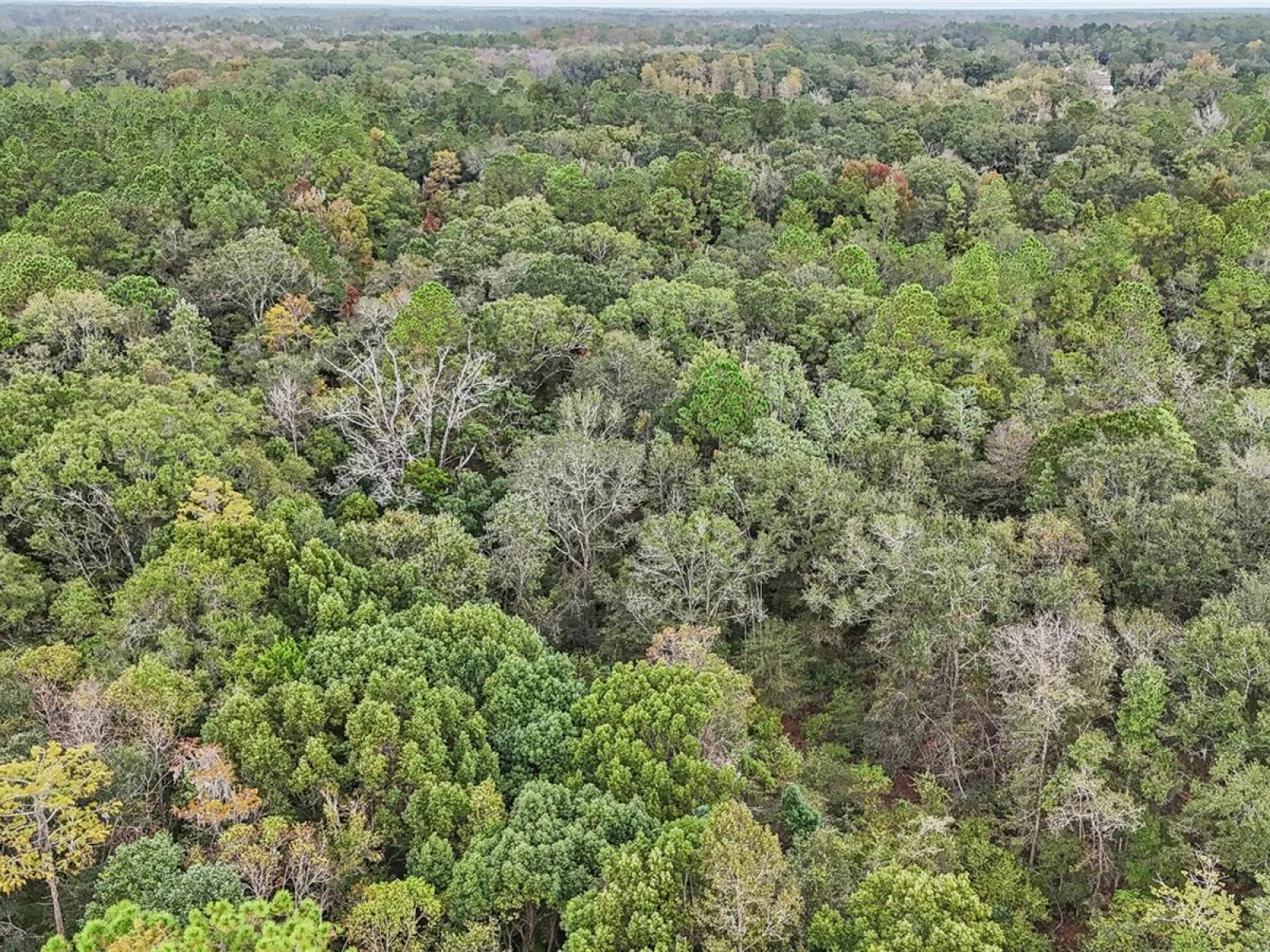 0 W EDWARDS RD, STARKE, FL — photo 16
