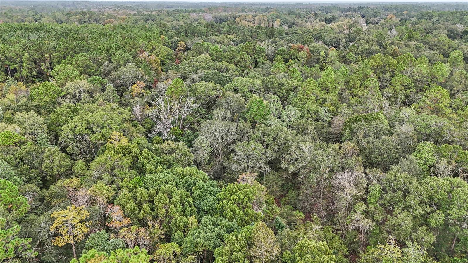 0 W EDWARDS RD, STARKE, FL — photo 15