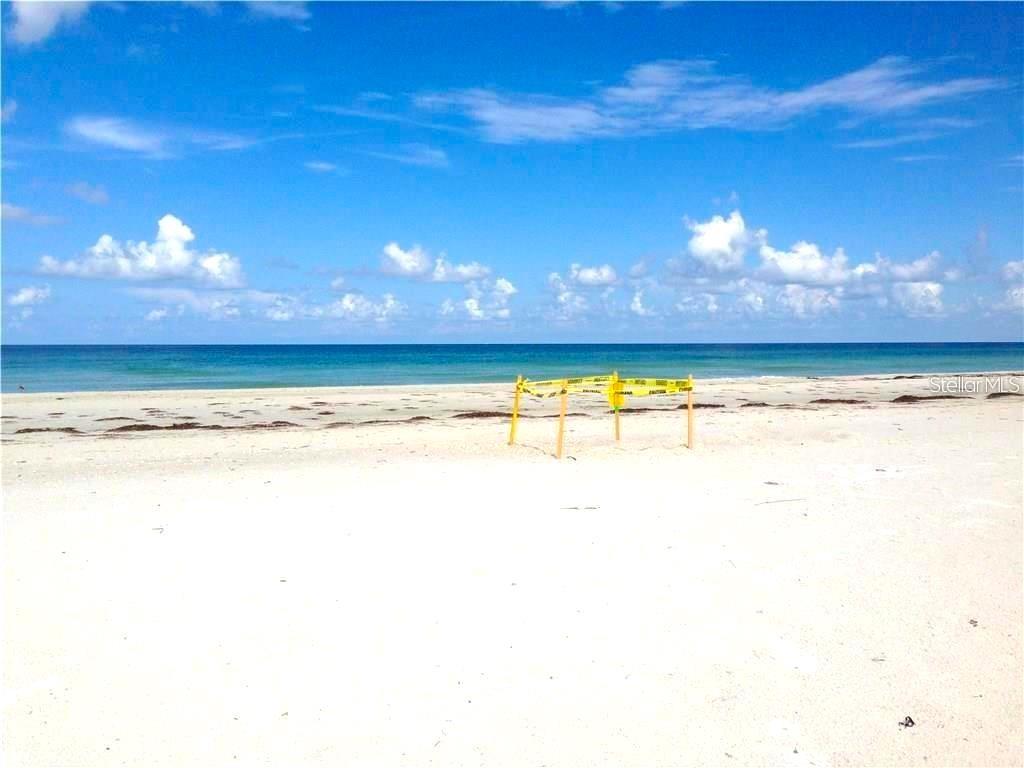 4950 GULF BLVD #807, ST PETE BEACH, FL — photo 8