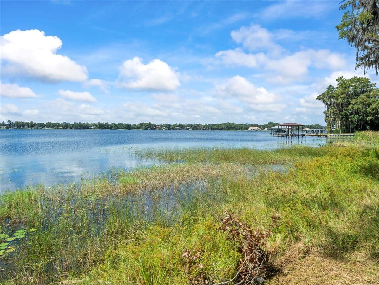 17924 SIMMS RD, ODESSA, FL — photo 8