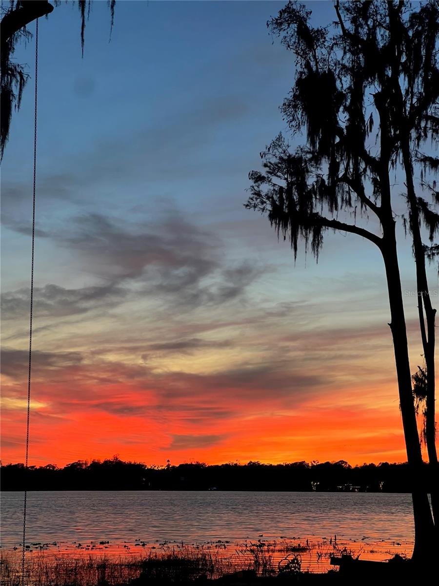 17924 SIMMS RD, ODESSA, FL — photo 16