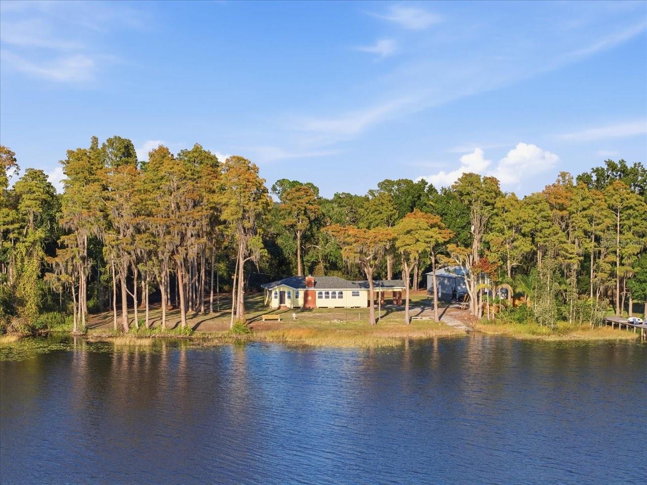 17924 SIMMS RD, ODESSA, FL — photo 24