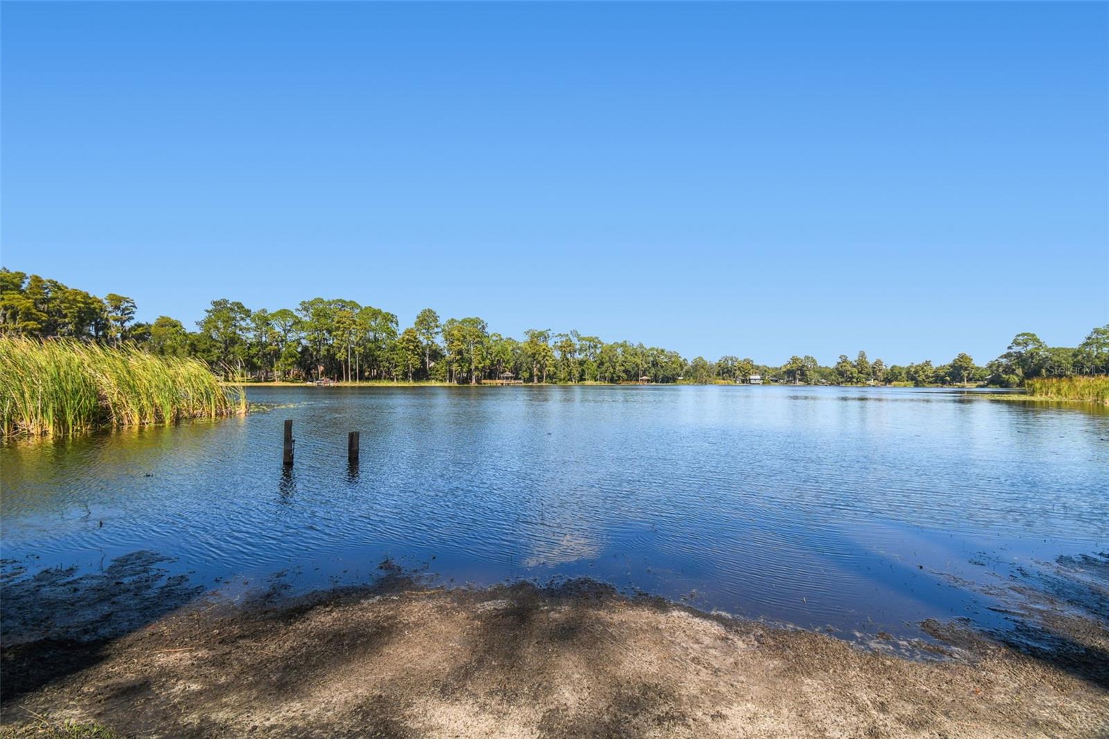 8011 N MOBLEY RD, ODESSA, FL — photo 10