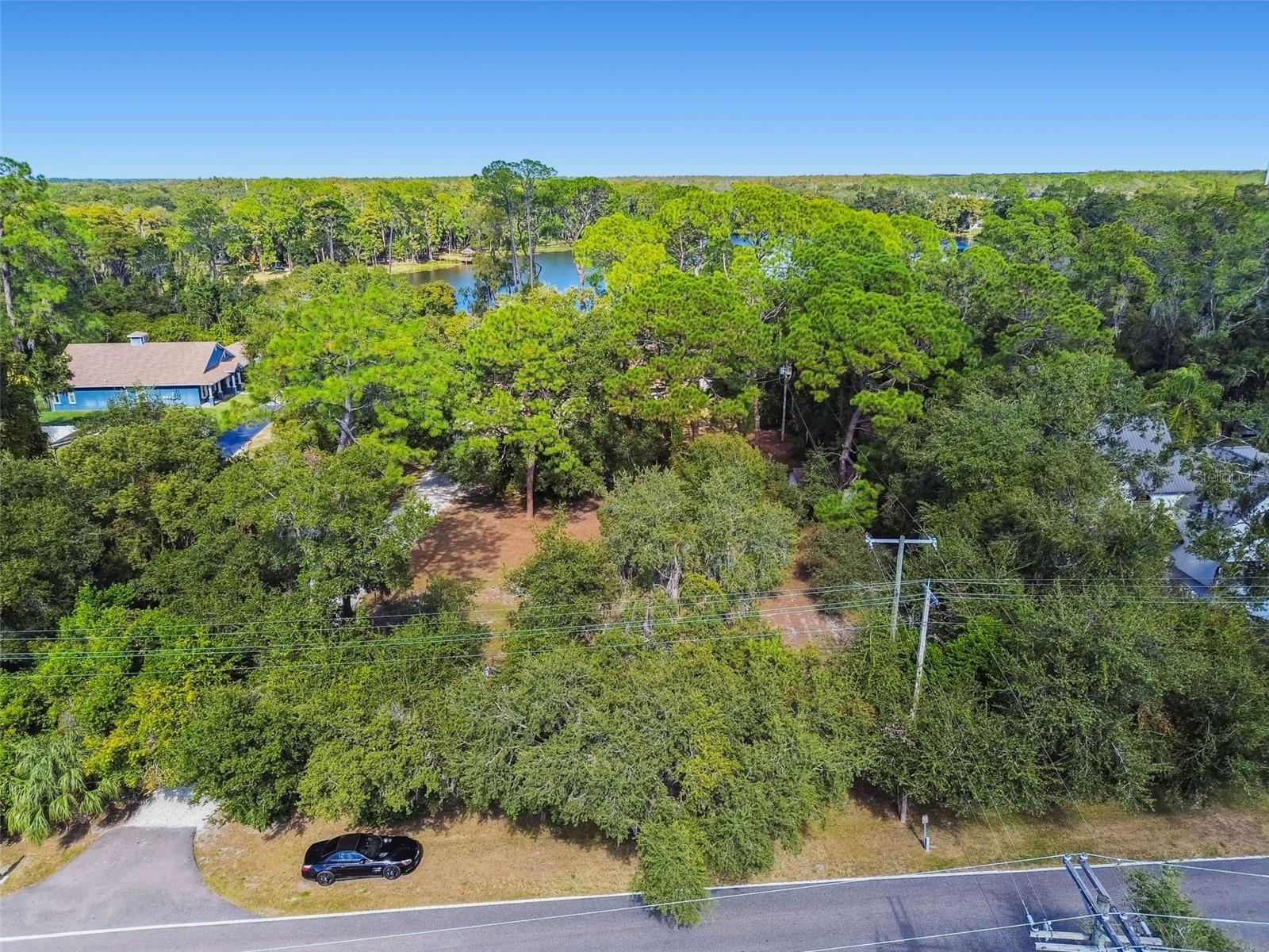 8011 N MOBLEY RD, ODESSA, FL — photo 76