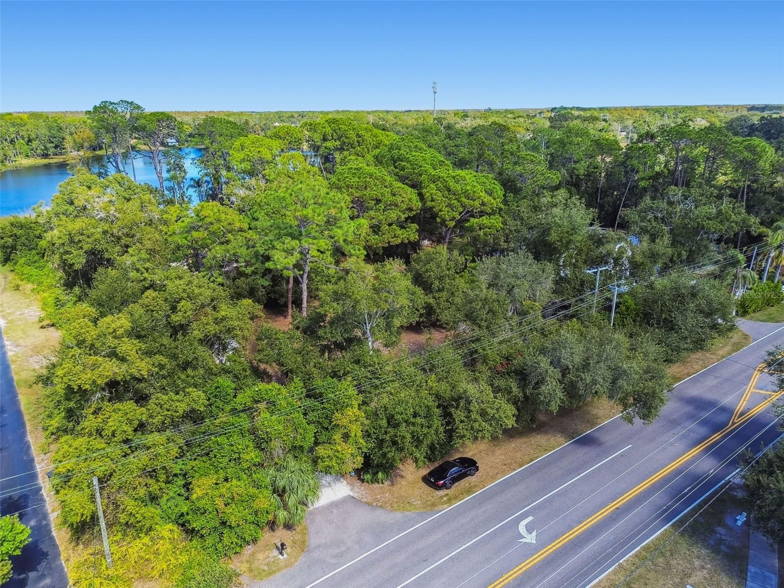 8011 N MOBLEY RD, ODESSA, FL — photo 77