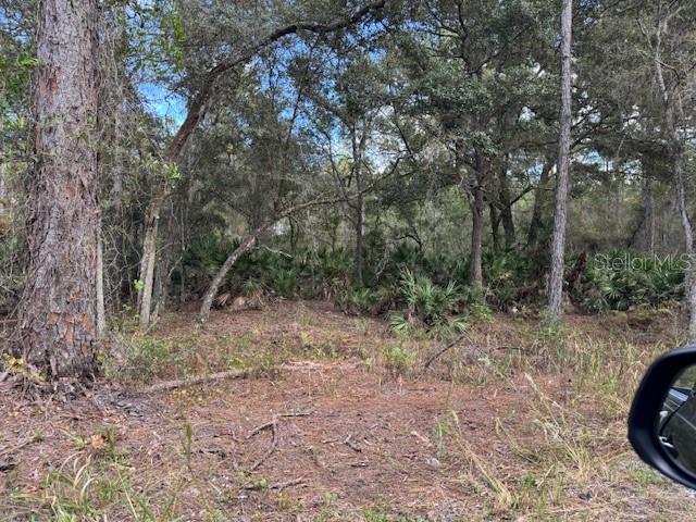 12TH AVE, DELAND, FL