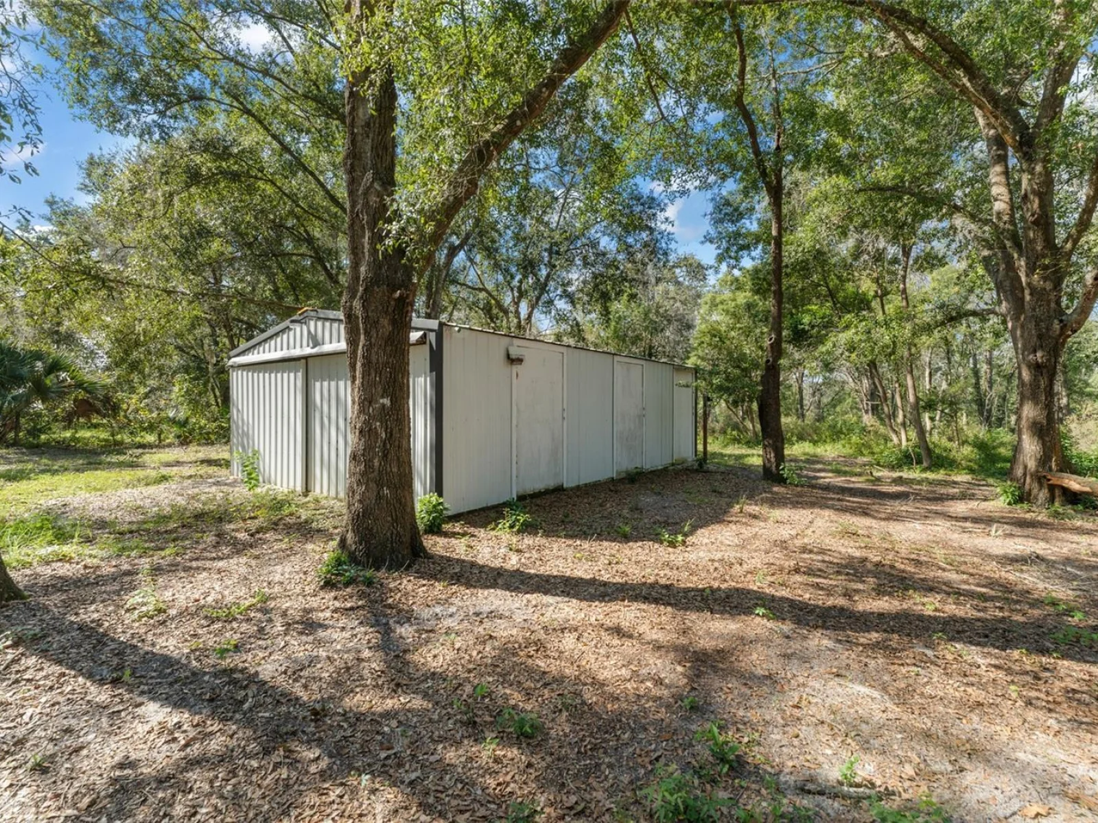 22126 QUALE GROVE RD, EUSTIS, FL — photo 10